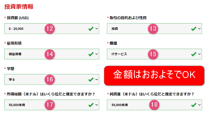 XM 投資家情報の入力