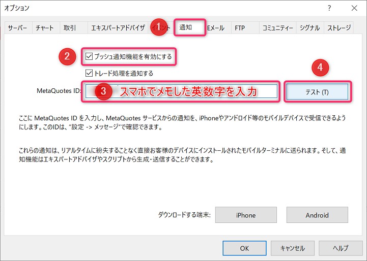 MT5 オプションウィンドウ